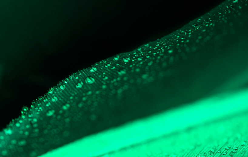 Illustration representing electronic prescription in finance sector